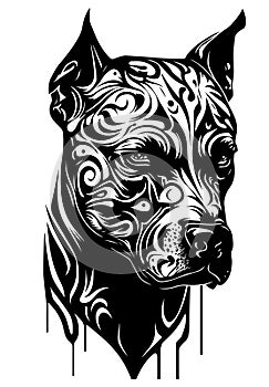 Pitbull vector illustration on white, great for t-shirts, logo, patches and emblems