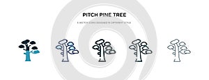 Pitch pine tree icon in different style vector illustration. two colored and black pitch pine tree vector icons designed in filled