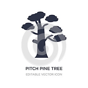 pitch pine tree icon on white background. Simple element illustration from Nature concept