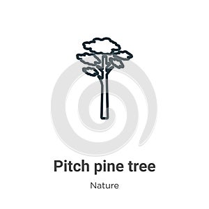 Pitch pine tree outline vector icon. Thin line black pitch pine tree icon, flat vector simple element illustration from editable