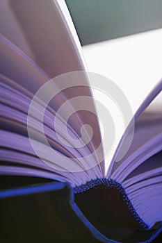 pitched pages photo