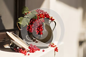 Pitcher/jug of redcurrant on a direct sunlight on a window