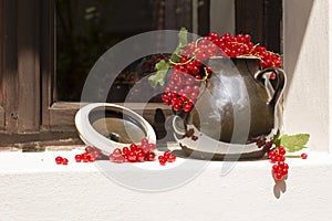 Pitcher/jug of redcurrant on a direct sunlight on a window