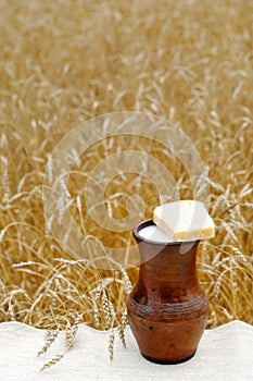 A pitcher of milk and bread in a wheat field.
