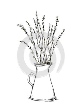 Pitcher with pussy willow branches