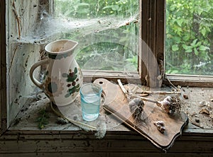 Rustic still life with pitcher