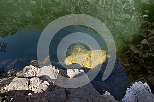 Pitfalls are visible in a shallow small reservoir on a Zavitan stream flows into the Yehudia National Natural Park in northern