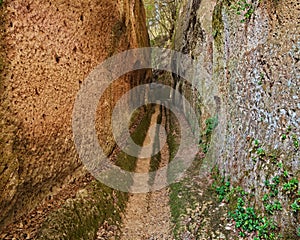 Pitigliano, Grosseto, Tuscany, Italy: Etruscan Vie Cave, excavated roads, long trench dug into the tuff rock photo