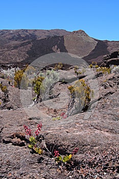 Piton de la Fournaise volcano