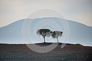 Pitoresque region Tuscany, alone on the horizon, Italy.