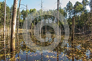 The pits were flooded with water from the iron mine that was sunk a hundred years ago