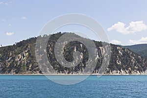 Pitsunda pine trees on a rocky seashore near resort settlement Dzhanhot