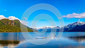 Pitt Lake with the Snow Capped Peaks of the Golden Ears, Tingle Peak and other Mountain Peaks of the surrounding Coast Mountains