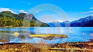 Pitt Lake with the Snow Capped Peaks of the Golden Ears, Tingle Peak and other Mountain Peaks of the surrounding Coast Mountains