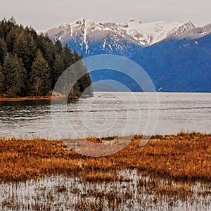 Pitt lake view on an overcast day