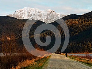 Pitt lake view of a tourist taking photos