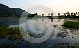 Pitt Polder Ecological Reserve photo