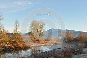 Un rio a dorado orejas montana sobre el amanecer 