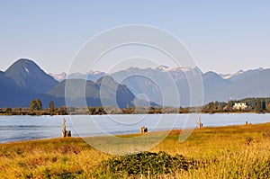 Pitt river with mountain in background