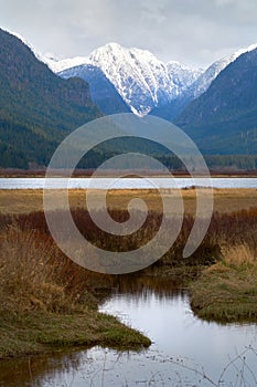 Pitt River Winter Mountain Reflection