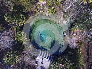 Pitt Springs Aerial photo