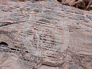 Pitted sandstone with ancient petroglyphs on mountain in Valley of Fire Nevada