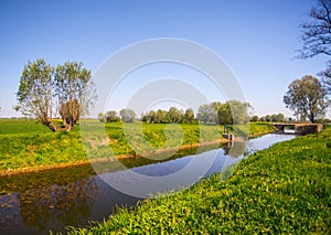 Summer rural pittoresque landscape with willows and water in canal