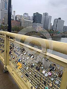 Pittsburgh Bridge and Downtown Buildings