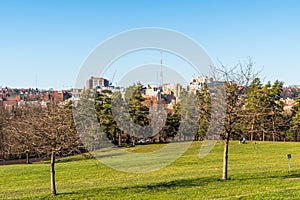 Pittsburgh, Pennsylvania, USA December 12, 2021 Trees on the Disc Golf course in Schenley Park with the Oakland neighborhood and p