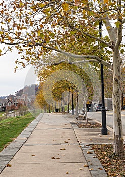 Pittsburgh, Pennsylvania, USA November 21, 2021 A tree lined sidewalk next to Parkview Boulevard in the Summerset neighborhood