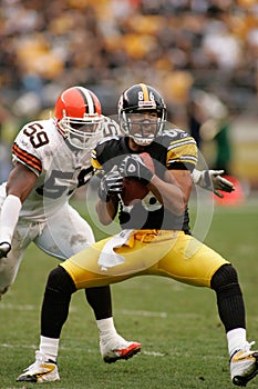 Hines Ward