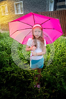 Pity blonde child with pink umbrella under the summer rain with su. Girl enjoying rainfall. Kid playing on the nature