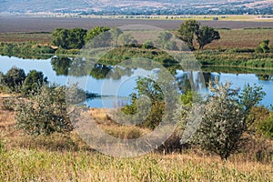 Pivdennyi Buh river shores, Mykolaiv Region, Ukraine