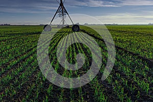 Pivot irragation system in field on a bright sunny day