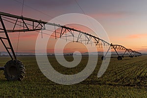 Pivot irragation system in field during sunset