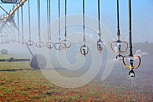 Pivot irrigation