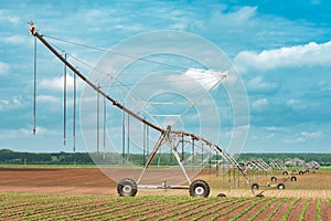 Pivot irrigation system in cultivated soybean and corn field