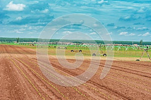 Pivot irrigation system in cultivated soybean and corn field