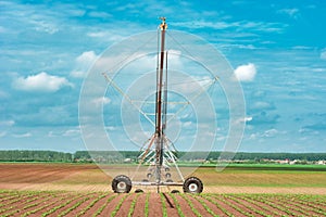 Pivot irrigation system in cultivated soybean and corn field