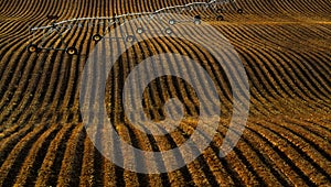 Pivot Irrigation Water Lines on Furrowed Farm Ground