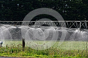 A pivot and linear irrigation system is irrigating a paddock