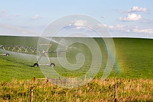 Pivot running in field with rainbow on sunny day