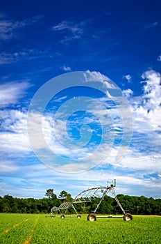 Pivot sprinkler irrigation system, agriculture industry