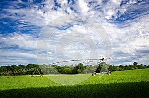 Pivot sprinkler irrigation system in a field