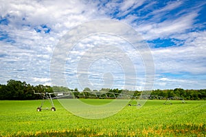 Pivot sprinkler irrigation system in a field