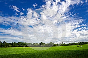 Pivot sprinkler irrigation system in a field