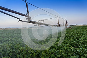 Pivoting irrigation system