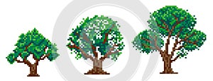 Set of pixel trees, pixel art on white background