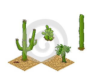 Pixel art cactus tilesets and plants. Vector game