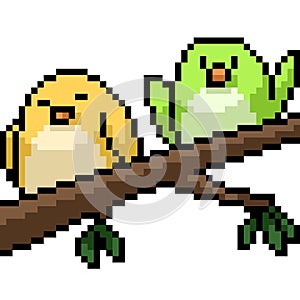 pixel art couple small bird